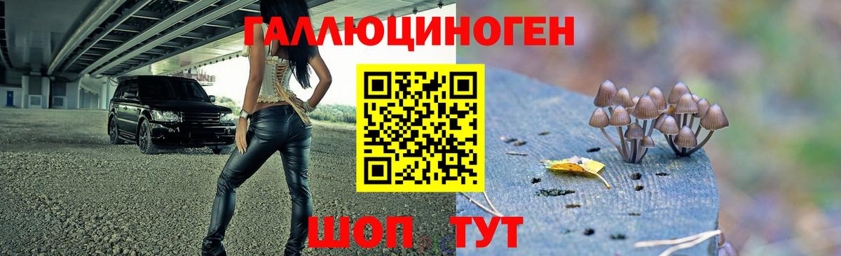 Галлюциногенные грибы мухоморы Видное